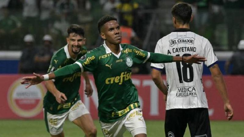 Nhận định cặp đấu giữa hai đội tuyển Fluminense vs Palmeiras